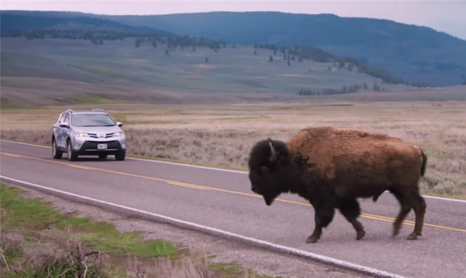 Drugie życie baterii hybrydowych Toyoty – w Parku Narodowym Yellowstone