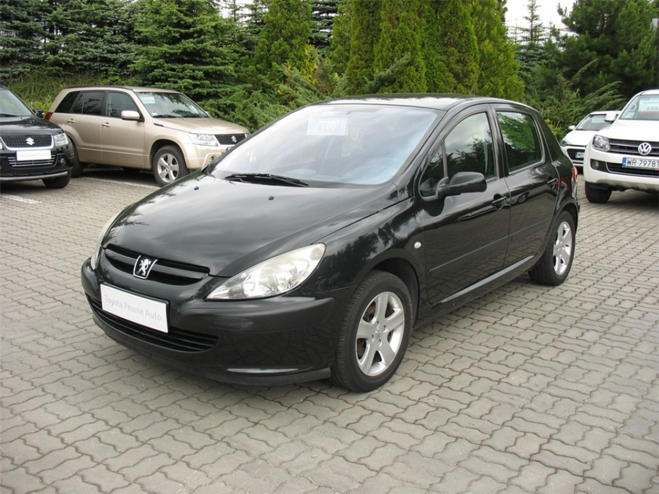 Peugeot 307 2.0 XS Benzyna, 2003 r. autoranking.pl