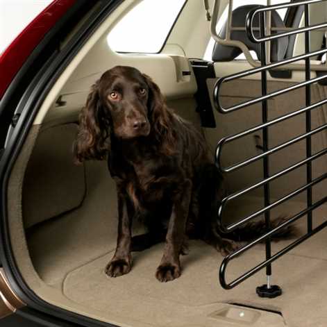 Volvo dla czworonogów: specjalna klatka do przewozu psów