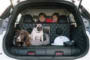 Nissan X-Trail 4Dogs