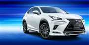 Lexusy podatne na tuning