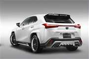 Król miejskiej dżungli - Lexus UX widziany przez TOM’S