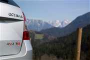 Nowa Octavia kombi i Octavia kombi 4×4