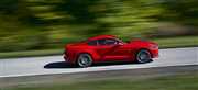 Kolejny dziki Mustang